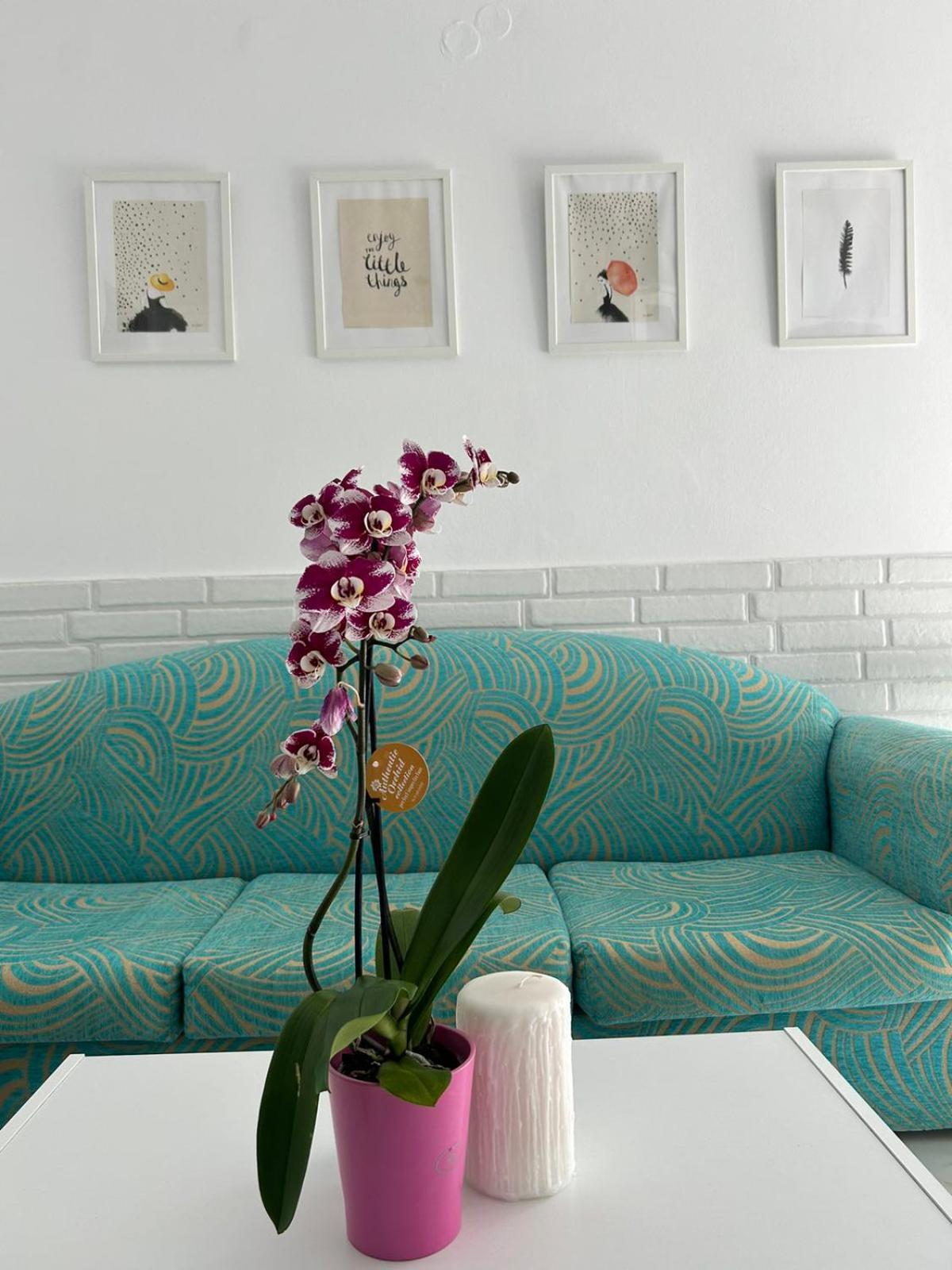 Maria'S Apartments Pigí 外观 照片